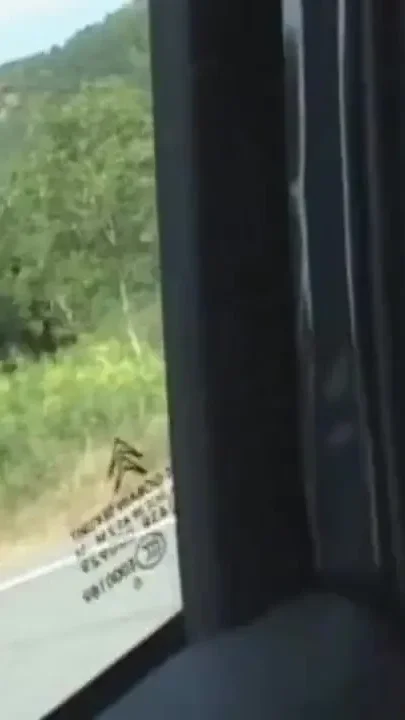 Milf brought in the woods and fucked by a bunch of dirty pigs