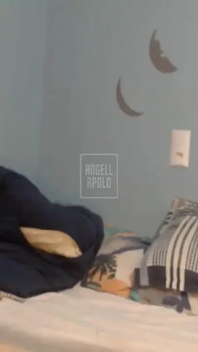 The Big Ass Wanted It Without a Condom