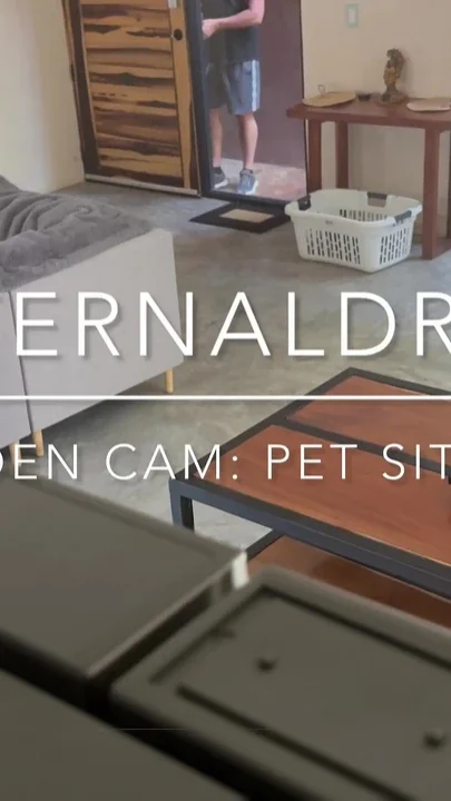 Busted by Nanny Video Cam Pet Sitting Gone