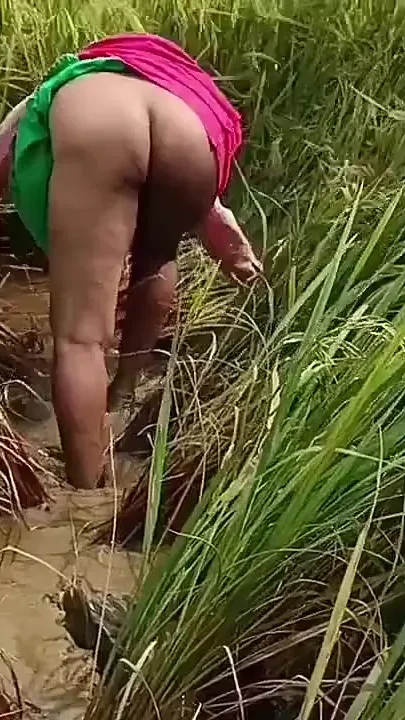 Village Nomita Spray on Rice Plants Bengali Audio Dirty