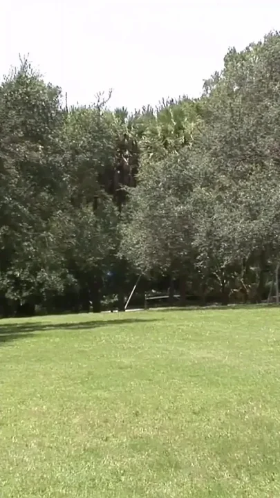 Hot Latina First Timer Bares All in Risky Outdoor Spots