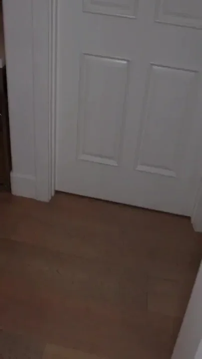 Sexy Asian Girlfriend Tofu Needs Cock During Halloween Costume Party