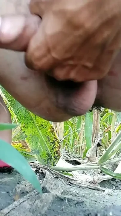Big Cock Masturbation and Cumshot in Morning