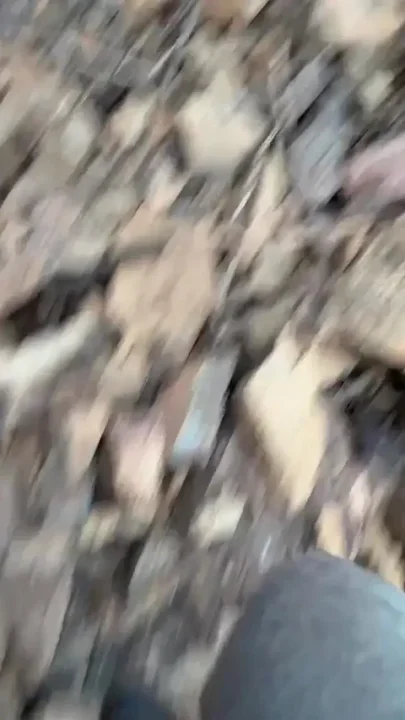 Pee on the Moutain so Fun