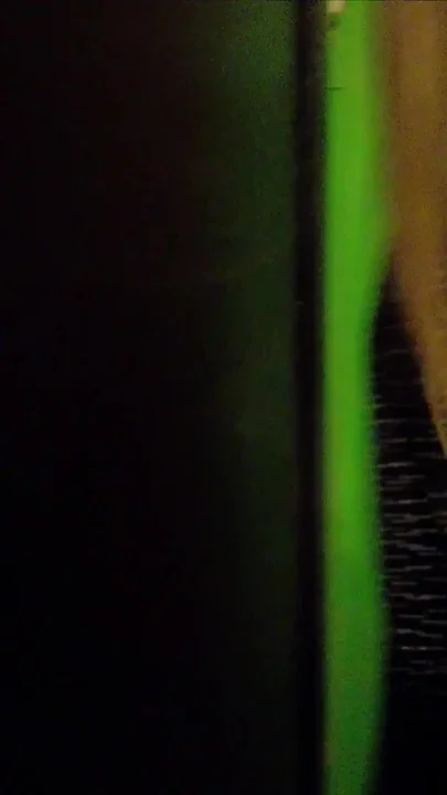 Passionate Sex in a New Apartment
