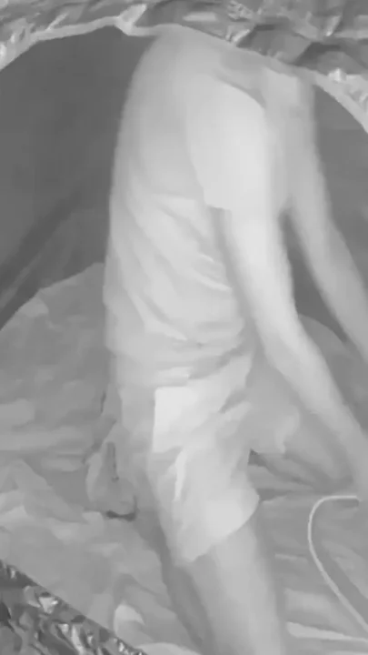 During His Jog a Guy Discovers a Young Camper and Submits Him - Caught on Night Vision Cam