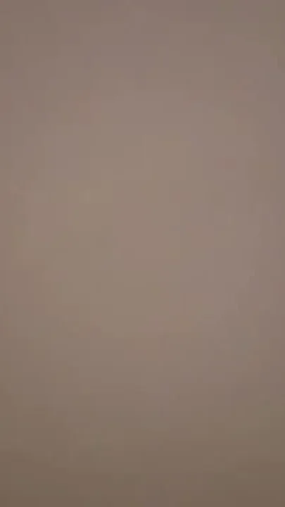 Asian Angel 27724