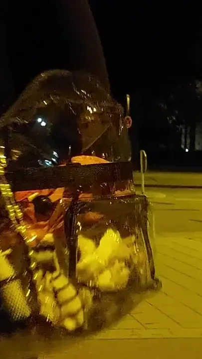 In Underwear on the Streets Night