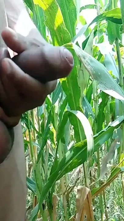 Indian Horny Man Playing with Big Cock