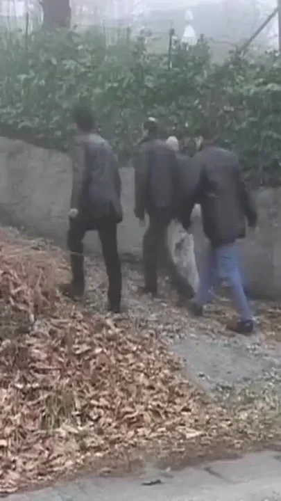 Dont Go Into That House