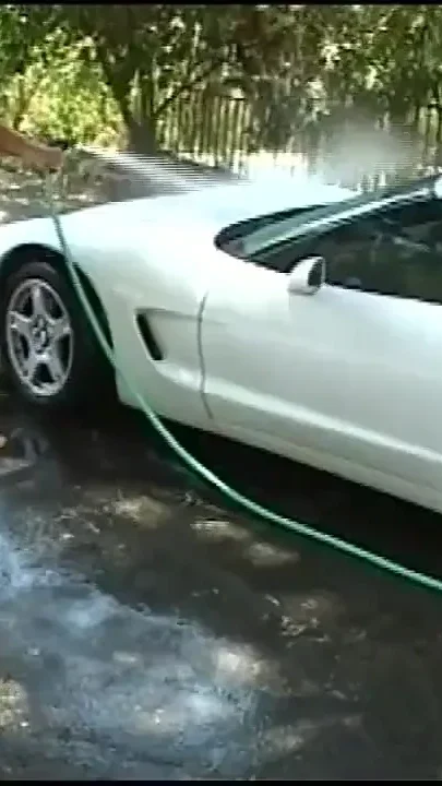 Anal Passion Outdoor for a Sexy Bitch