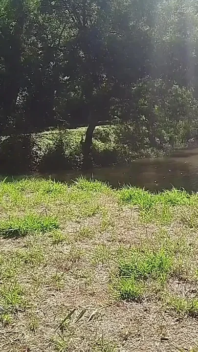 Cumming in the Park
