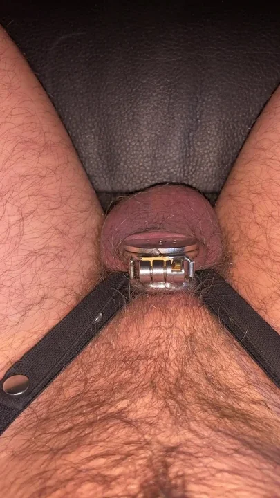 releasing flat chastity cage with plug