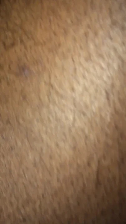 Black Breeders Adventures 192