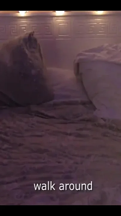 Real Home Sex