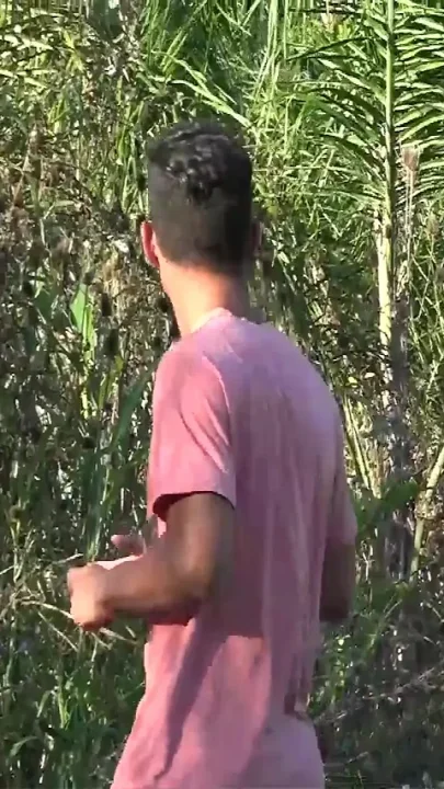 Xl Cocks Share Young Hole