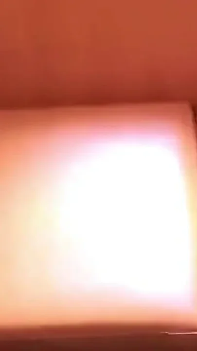 Asian Angel 24959