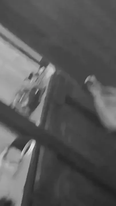 Desi Couple Fucking