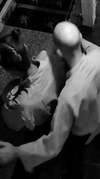 Doggystyle Compiled
