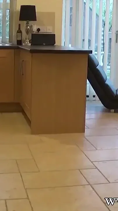 An English Housewifes Visitor