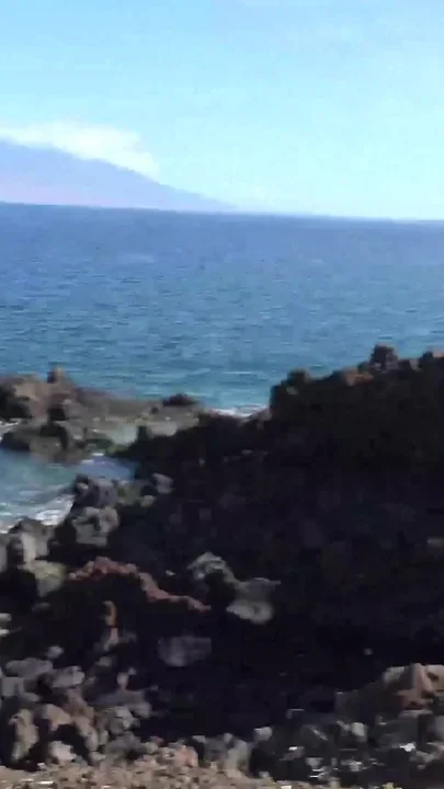 Virtual Vacation