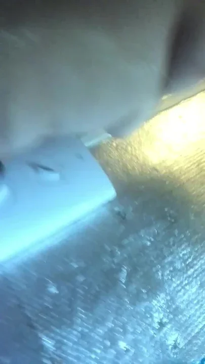 Showing you my butt hole in the shower after washing my big hairy bush Clip 1