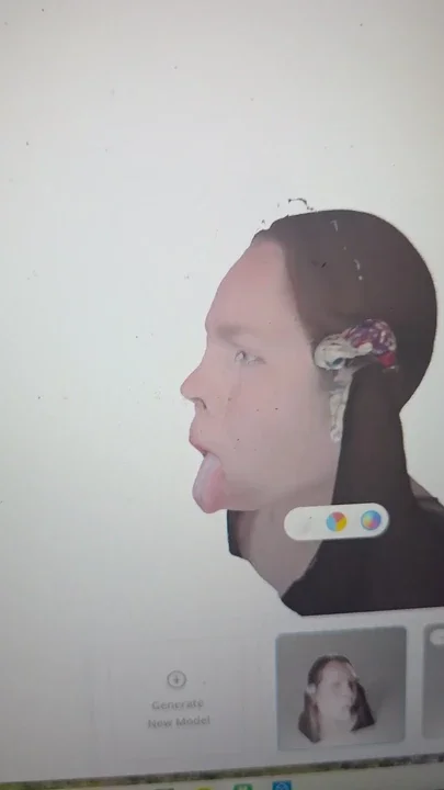 3D printable cumpig face