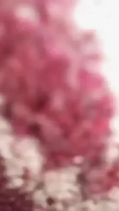 Sahu Bhauj Anal Hole Fucking Video