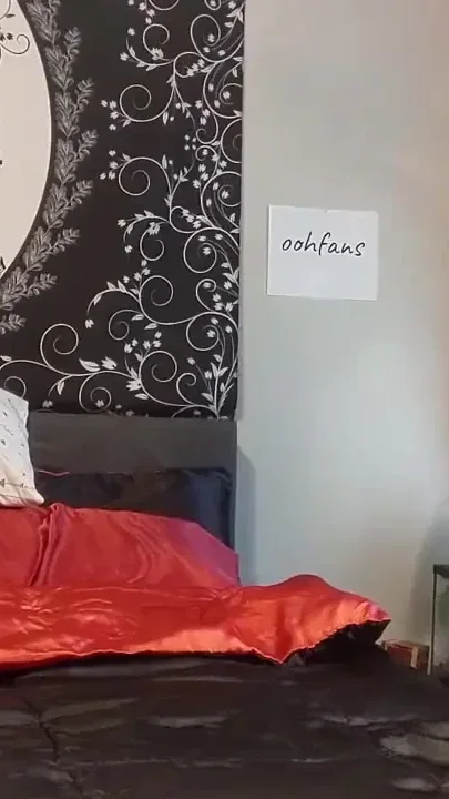 Bed Bath Beyond This Pussy