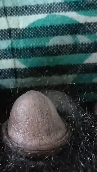 Hide and Seek Play