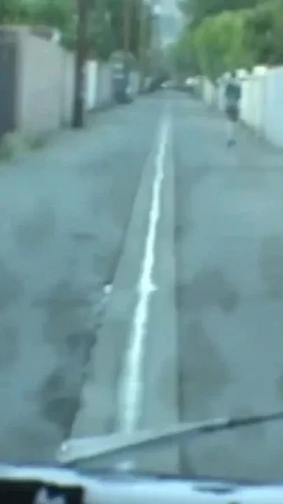A Blonde Cutie Gets Stopped on the Street and Fucked with the Ice Cream Guy