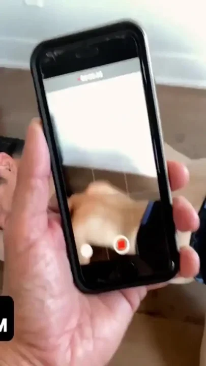 Gamer dude drilled his big dick in tight bun