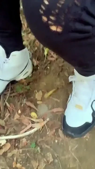 Step on Used Condoms Bottles Leaves Branches and Jerk off - Crush Things and Cum