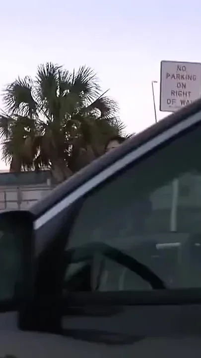 Nervous Kelly Klass Bares All in Public in Tampa