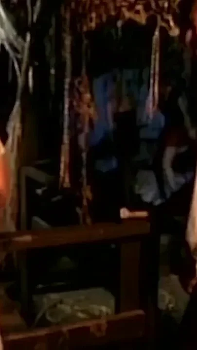 Retro Sex with Random People