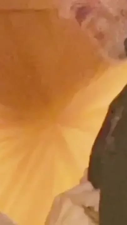 Ashlynn Shea Honeymoon Fuck