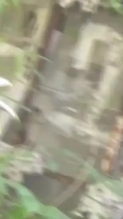 French boy fucked by seyx Arab in forest cruising