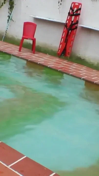 Surprise fuck in the pool with the neighbor when she thought she was alone Clip 1