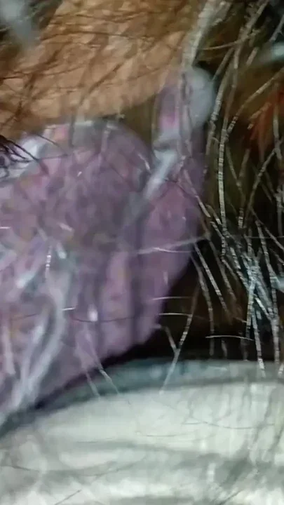 The Best Homemade Fucks of the Horny Stepbrothers Clip 1
