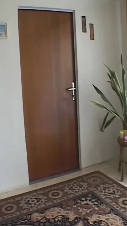 Blondie in Anal Action