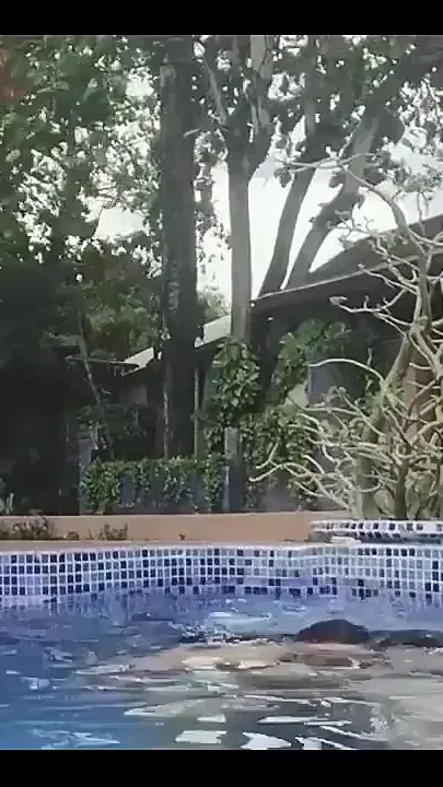 Spring Time Is Here so That Means Summer Is Around the Corner