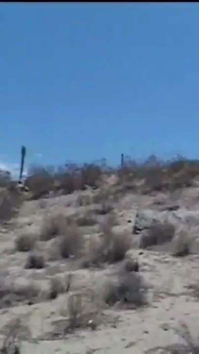 Pussy in the Middle of Nowhere