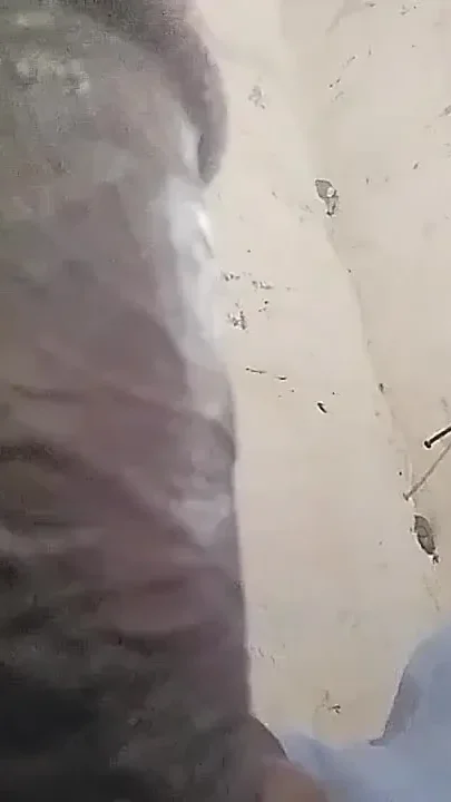 Big Indian Cock