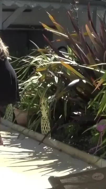 Twink crossdressed creampied outdoor by xxl cock