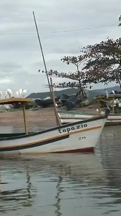 Latino Fucked Raw by Straight on Beach