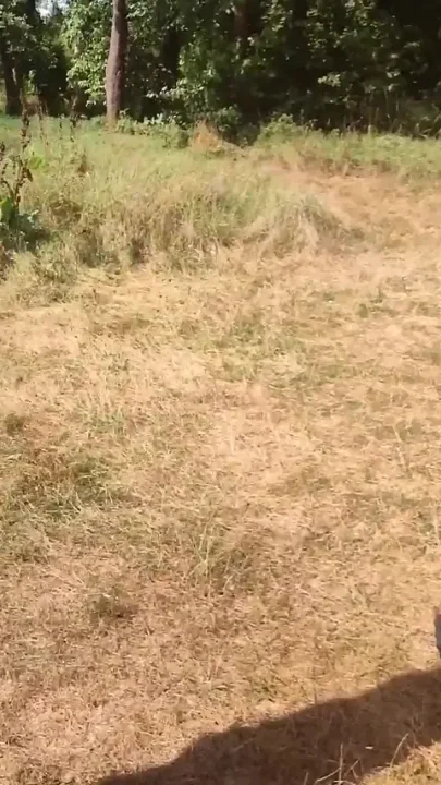 Naked Near the River in Public Sex Blowjob Orgasm