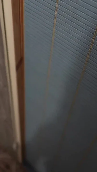 New Year's Corporate Parties Will Wait the Boss Caught Me Masturbating I Need to