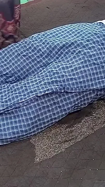 Desi Sex