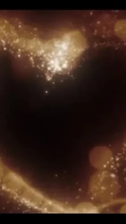 Enjoy the Full Video