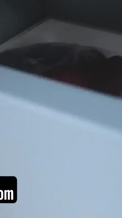 PervMom - Sexy Milf caught her stepson jerking off offers her mature pussy instead